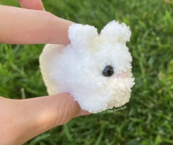 The Coconut Bunny