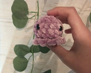 Mini octopus