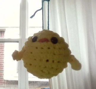 cute chick