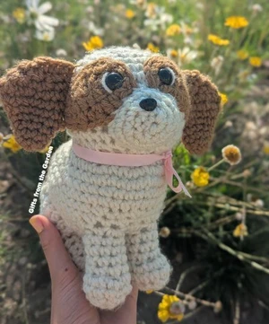 Sadie the Shih Tzu Dog