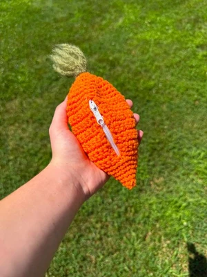 Carrot  Pouch