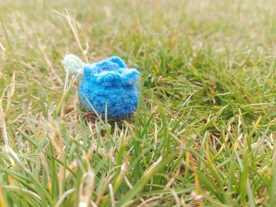 Mini Blueberry