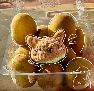 Cute Low Sew Kiwi Cat