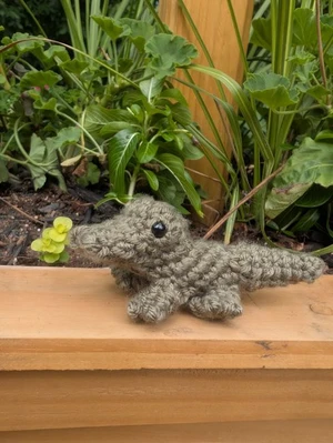 baby alligator
