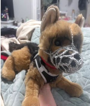 essa chain muzzle!