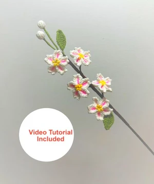 Cherry Blossom Flower
