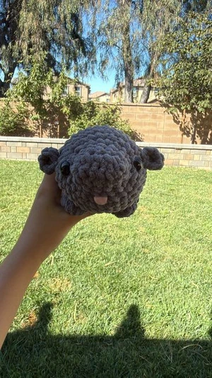 Adorable little hippo