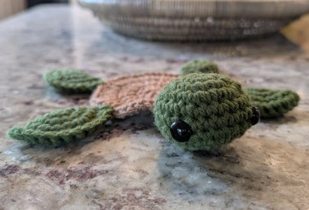 Turtle Coaster