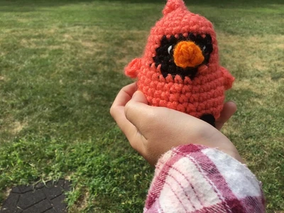 Pip the Pocket cardinal