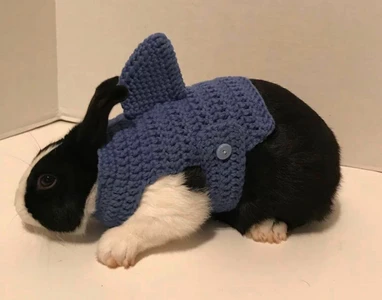 Rabbit Shark Sweater