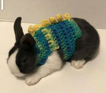 Rabbit Dinosaur Sweater
