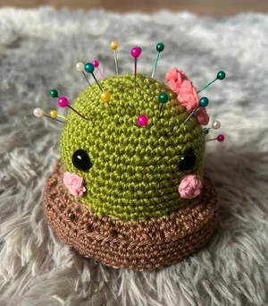 Cactus the Pincushion