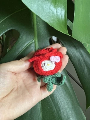 Kitty in Rose