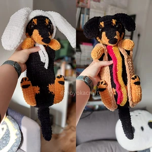 Dachshund in 2 outfits