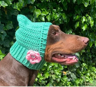 Dog Cowl Snood