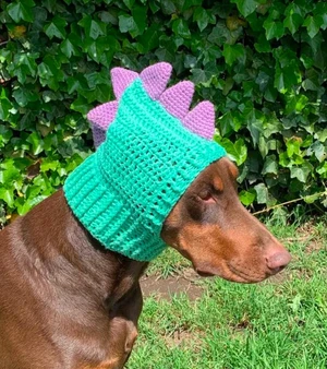 Dinosaur Dog Cowl Snood Hoodie