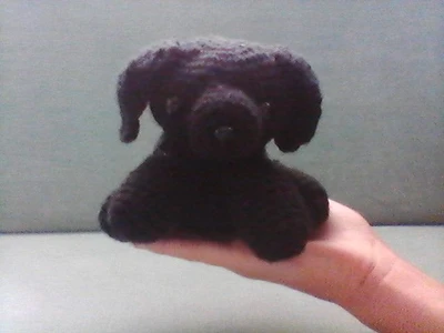 Sitting Labrador Retriever