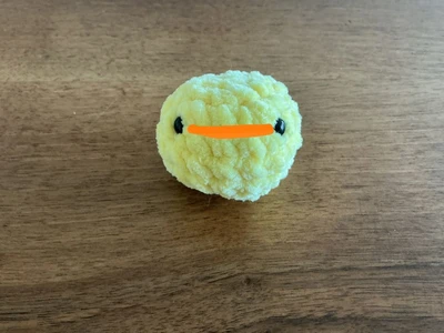 Mini chick ( I didn@qt have orange so I just drew it)