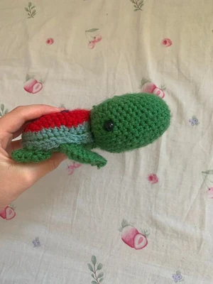 Watermelon turtle