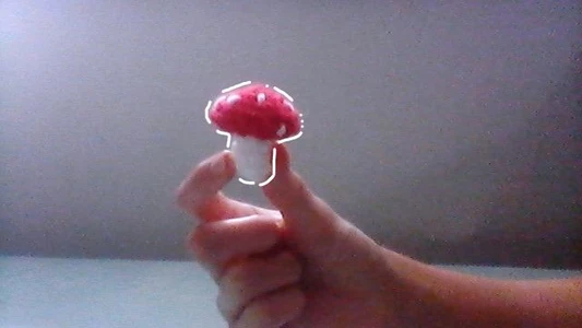 Miniature Mushroom