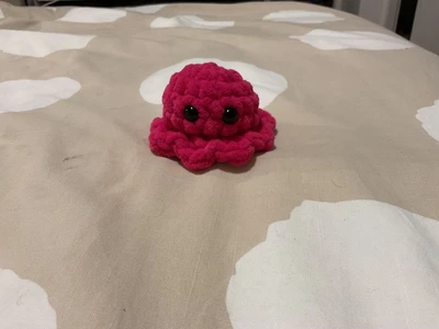 Small octopus