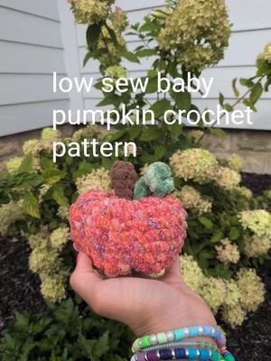 Low sew baby pumpkin