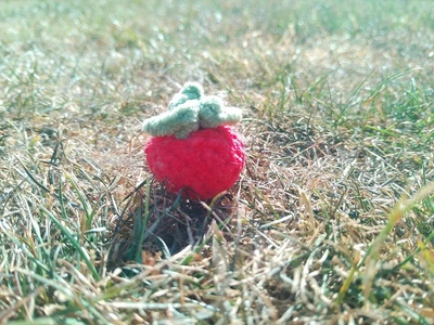 Mini tomato