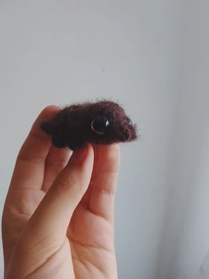 Pippin the spider.
