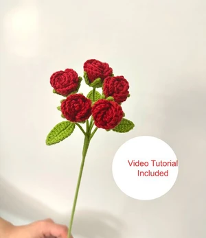 Miniature Roses