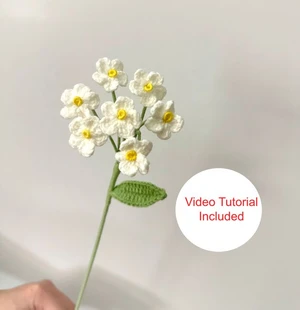 Forgot-me-not Flower