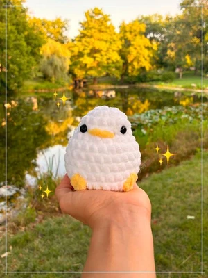 Cute duck