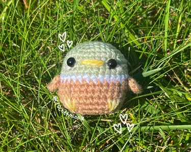 Mallard Duck Pattern