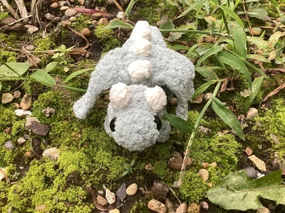 Pocket Dragon