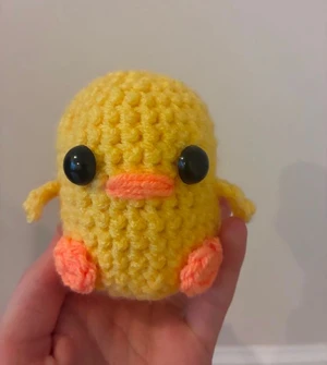 Crochet Chick