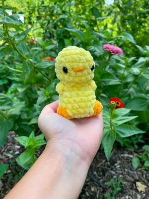 No sew chick