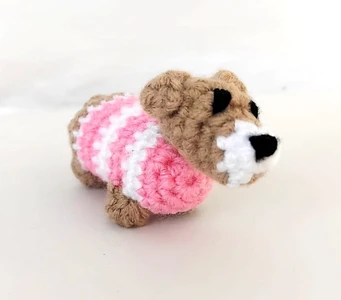 Daisy Dachshund Dog