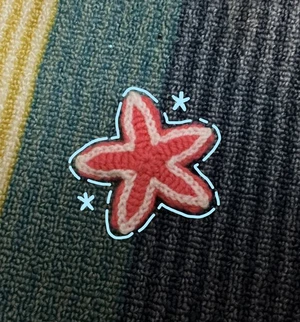 Mini Starfish Motif