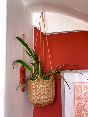 Trellis grid plant hanger