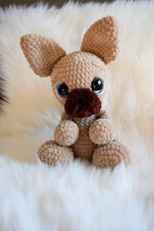 Baby french bulldog