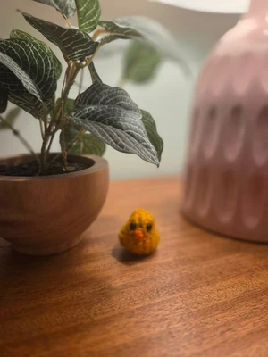 Tiny duck