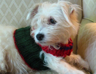 The Peggy Sweater