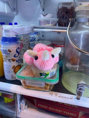 Strawberry Dino!