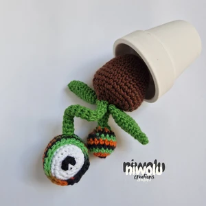 Eyeball mini plant