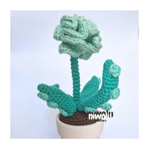 Tentacled mini plant