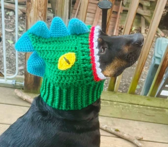 T-Rex Dog Cowl Snood Hoodie