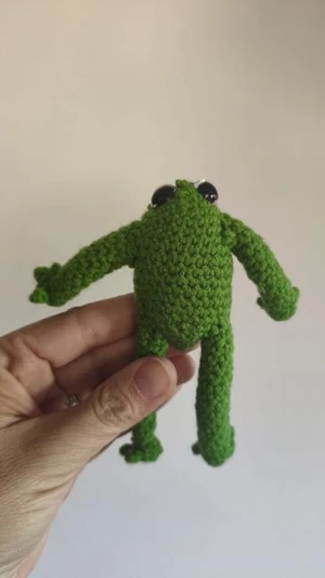 Davey Frogit the tiny frog buddy.