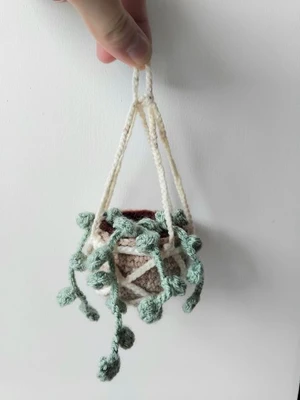 Hanging string of pearls plant