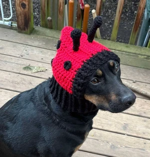 Ladybug Dog Cowl Snood Hoodie