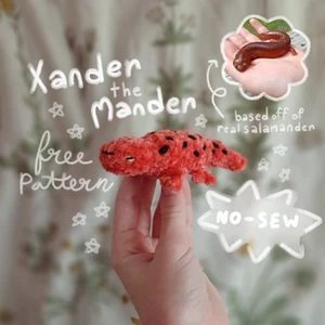 Xander the Mander (salamander)