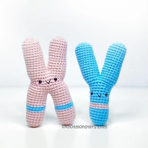 click to see XY Chromosomes
